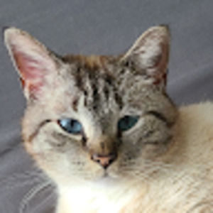 Meet your Posher, Ethan